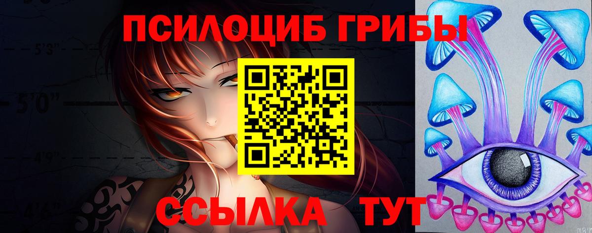 Унеча  Псилоцибиновые грибы GOLDEN TEACHER  Вход с VPN  Псилоцибиновые грибы Psilocybine cubensis 